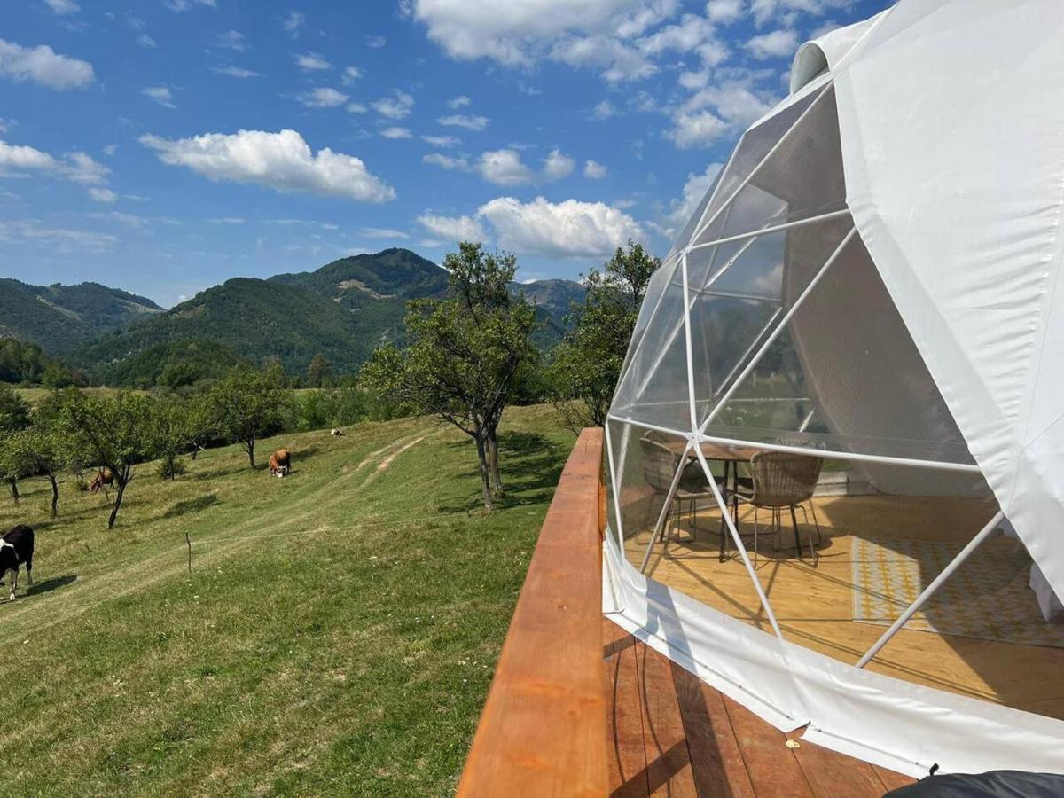 Hotel Tranquil Dome - Manta'S Retreat Glamping Cornereva Esterno foto